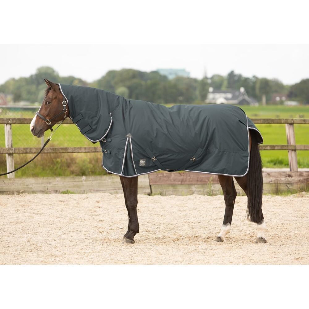 product/h/a/harry-s-horse_32204714-42_ebony_1.jpg