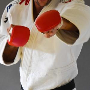Jiu-Jitsu-handskar