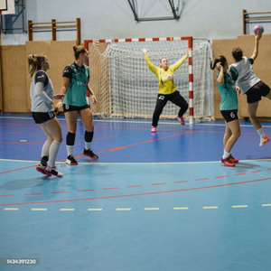 Handboll