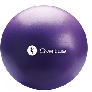 0423-1-ballong-for-utbildning-sveltus-lila-tu