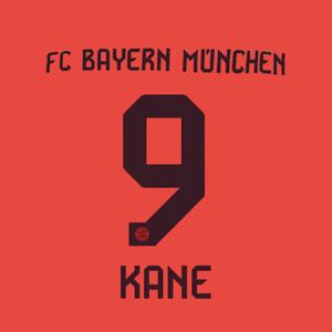 marking-002689-flockar-hem-bayern-munich-bundesliga-kane-9-2024-25-brun