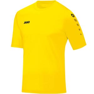4233-u-03-jersey-jako-team-citrongul