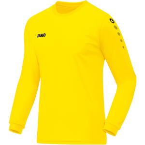 4333-e-03-troja-for-barn-jako-team-manches-longues-citrongul