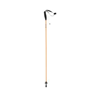 78153hcu-sticks-ferrino-eiger-125-cm-paire-guld-tu