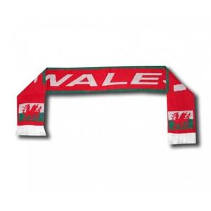 ech-nat-pga-scarf-supporter-shop-pays-de-galles-vit-gron-rod-tu
