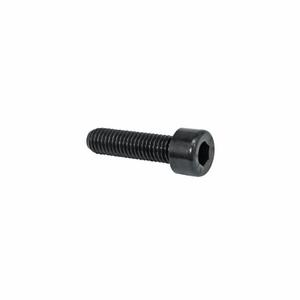 4848-lada-med-100-insexskruvar-algi-690084-svart-m6-x-30-mm