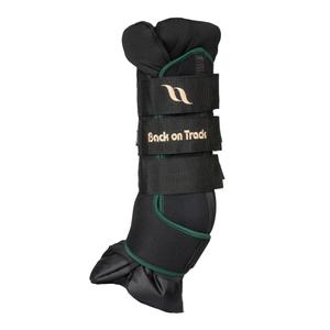 20336801-tillbehor-for-hastgamacher-back-on-track-deluxe-x2-gron