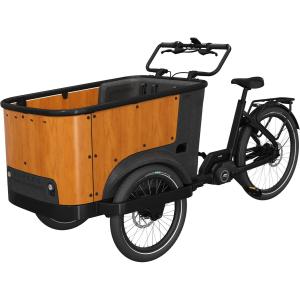 cb-u24001-elektriska-cyklar-cangoo-buckle-up-svart-tra-tu