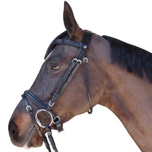 111105-marron-privilegierad-overbryggning-canter-euro-pull-back-brun