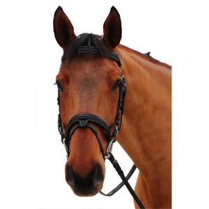 111117-noir-noir-trans-for-ridning-canter-mylord-svart-svart