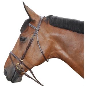 111123-marron-kombinerade-ridtrans-canter-brun