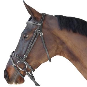 111123-noir-kombinerade-ridtrans-canter-svart