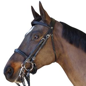 111505-noir-trans-for-ridning-canter-euro-svart