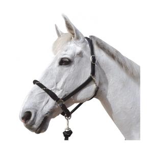 119520-noir-argent-repgrimma-for-hast-canter-svart-silver