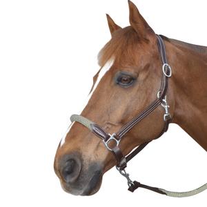 119522-marron-beige-laderhalare-med-rep-canter-brun-beige