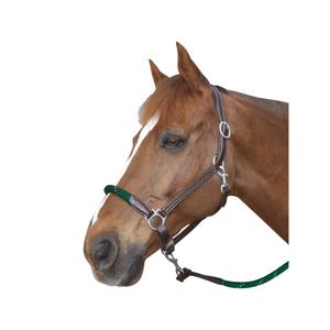 119522-marron-vert-foret-laderhalare-med-rep-canter-brun-skogsgron