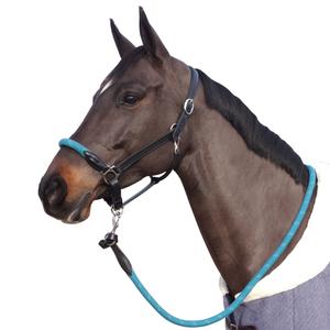 119522-noir-emeraude-repgrimma-med-vita-spannen-for-hastar-canter-svart-emerald