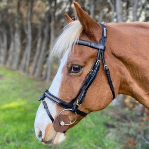 cacb09b-engelsk-kombinerad-ridgrimma-med-avtagbart-nosband-cavaletti-goldy-svart-kobra
