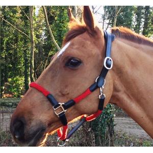 cal03br-ladergrimma-och-rep-for-hast-cavaletti-tara-svart-rod-full