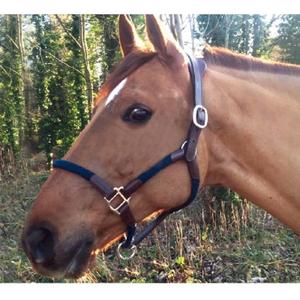 cal03om-lader-och-repgrimma-for-hast-cavaletti-tara-ek-marin-full