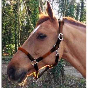 cal03oo-ladergrimma-och-rep-for-hast-cavaletti-tara-ek-full