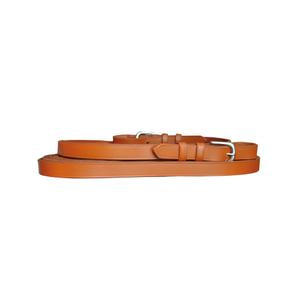 011021-newmarket-hastsele-och-korledare-i-laderpar-chetak-ny-marknad-full