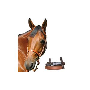 111108-newmarket-kaftfri-drivflans-chetak-ny-marknad-kobra