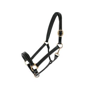 119502-noir-ladergrimma-for-hast-chetak-bright-svart