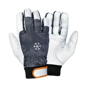 g115-dd00-handskar-for-verkstad-cofra-coldext-x12-svart-vit