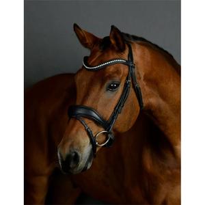 1025192001-dressyrsadeln-med-stoppning-collegiate-comfitec-opulux-svart