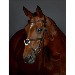 1025195003-polstret-ridhuvud-fran-quiscale-collegiate-comfitec-opulux-morkbrun