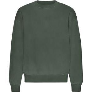 cs1012-midnightforest-oversized-sweatshirt-med-rund-halsringning-colorful-standard-organic-midnight-forest-midnattsskog