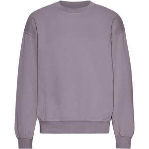 cs1012-purplehaze-oversized-sweatshirt-med-rund-halsringning-colorful-standard-organic-purple-haze-lila-dis
