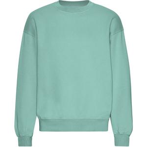 cs1012-seafoamgreen-oversized-sweatshirt-colorful-standard-organic-seafoam-gron