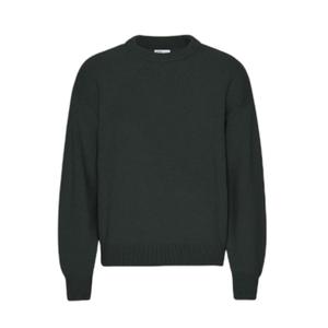 cs5088-huntergreen-jumper-med-overdimensionerad-storlek-colorful-standard-hunter-green-jagargron