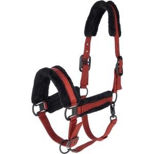 3231082-halster-for-hast-covalliero-rost