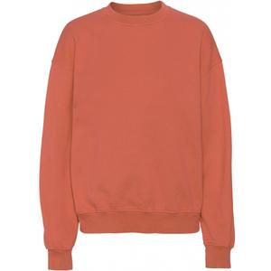 cs1012-darkamber-sweatshirt-med-rund-halsringning-colorful-standard-organic-oversized-dark-amber-mork-barnsten