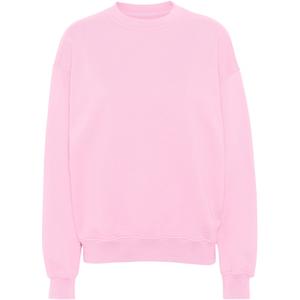 cs1012-flamingopink-sweatshirt-med-rund-halsringning-colorful-standard-organic-oversized-flamingo-pink-flamingo-rosa