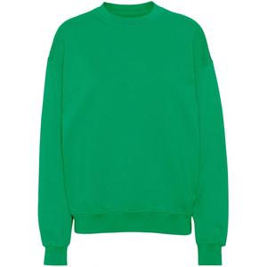 cs1012-kellygreen-sweatshirt-med-rund-halsringning-colorful-standard-organic-oversized-kelly-green-kelly-green