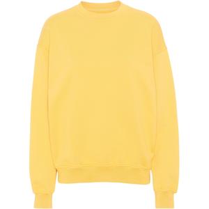 cs1012-lemonyellow-sweatshirt-med-rund-halsringning-colorful-standard-organic-oversized-lemon-yellow-citrongul