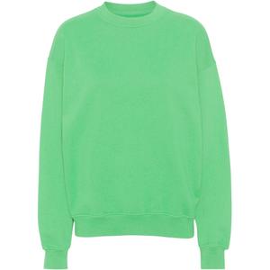 cs1012-springgreen-sweatshirt-med-rund-halsringning-colorful-standard-organic-oversized-spring-green-vargron