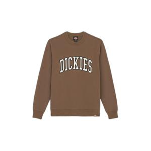 dk0a4xabj961-langarmad-sweatshirt-dickies-aitkin-svamp-moln