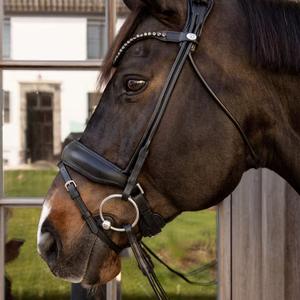 product/d/y/dy-on-woihhsblc-black-2.jpg