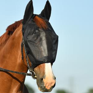 155004-noir-flugskyddande-arbetsmossa-for-hastar-equilibrium-svart