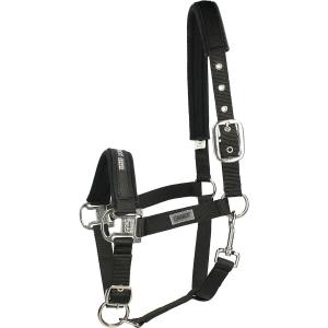 410000-816-290-halster-for-hast-eskadron-pin-buckle-svart