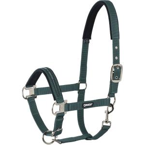 410000-816-590-halster-for-hast-eskadron-pin-buckle-racinggreen