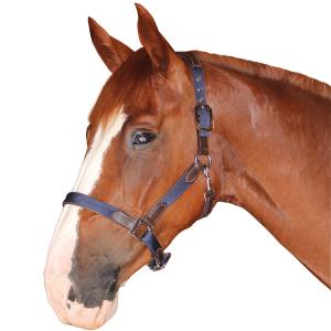 179501-marron-marine-halfter-av-nylon-lader-flags-cup-brun-navybrun
