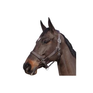 179501-marron-marron-halfter-av-nylon-lader-flags-cup-brun-brun