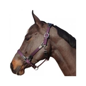 179501-noir-prune-halfter-av-nylon-lader-flags-cup-svart-plommon