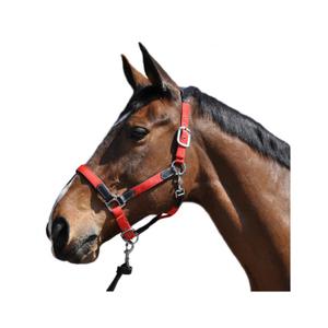179501-noir-rouge-halfter-av-nylon-lader-flags-cup-svart-rod